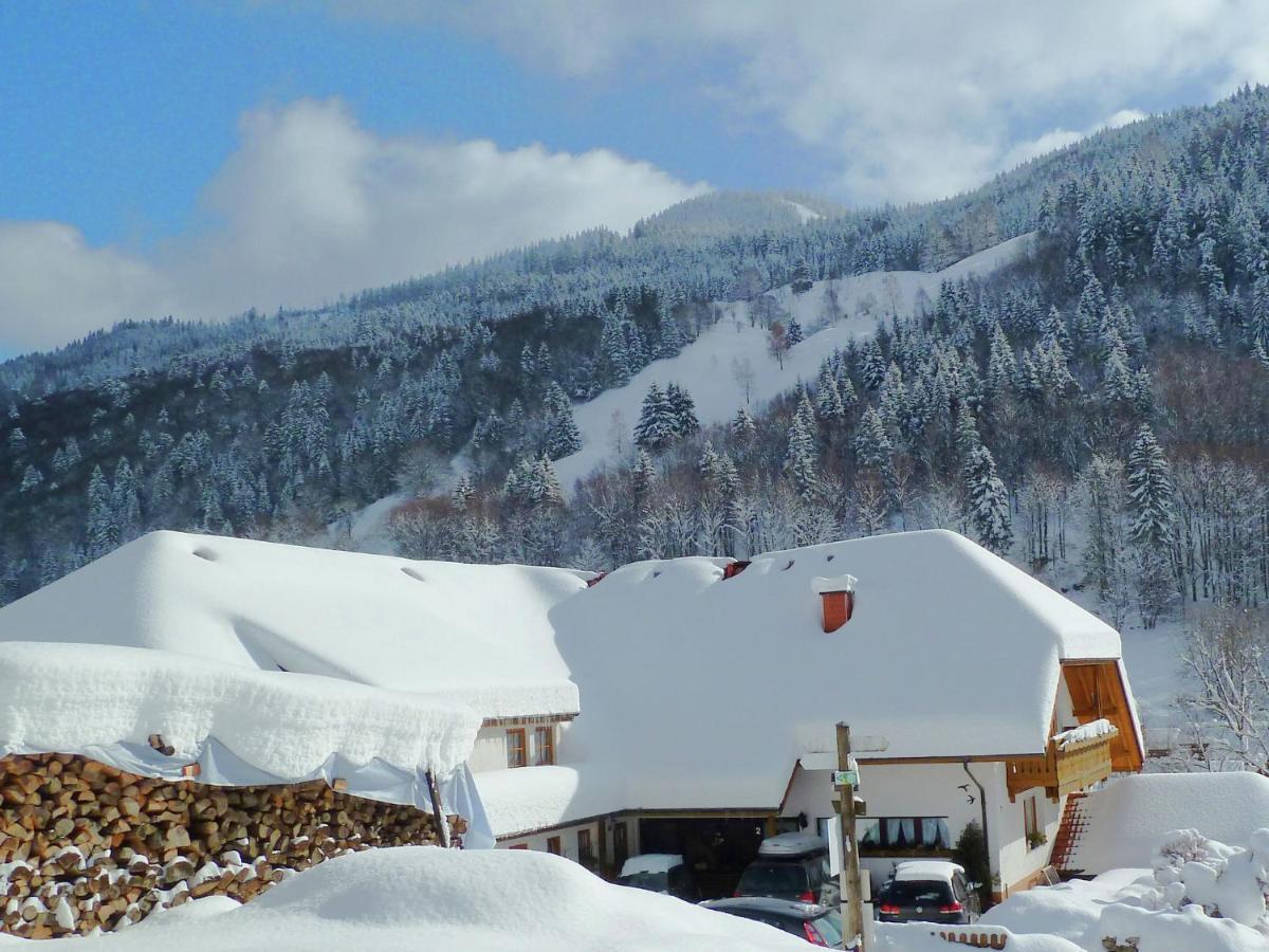 Apartment In Brandenberg With Terrace Todtnau Oda fotoğraf