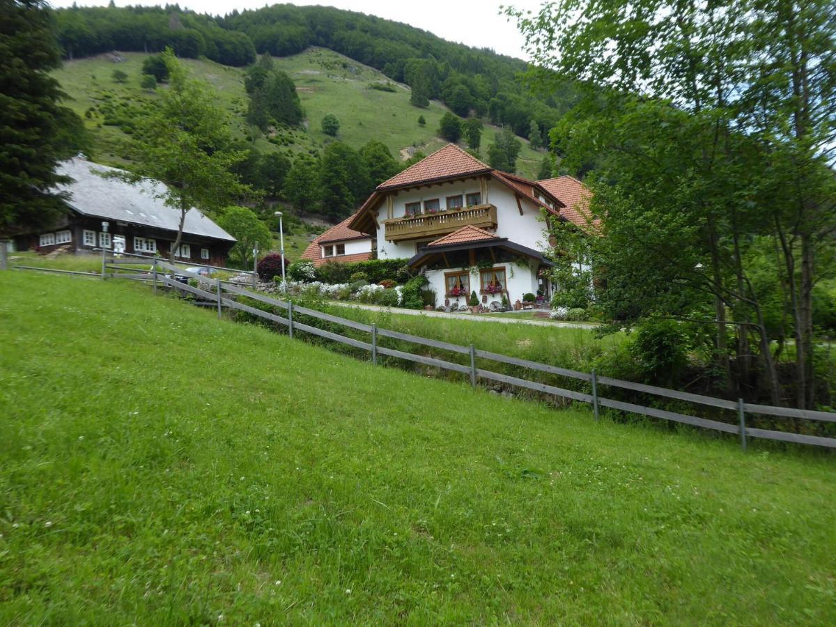 Apartment In Brandenberg With Terrace Todtnau Dış mekan fotoğraf