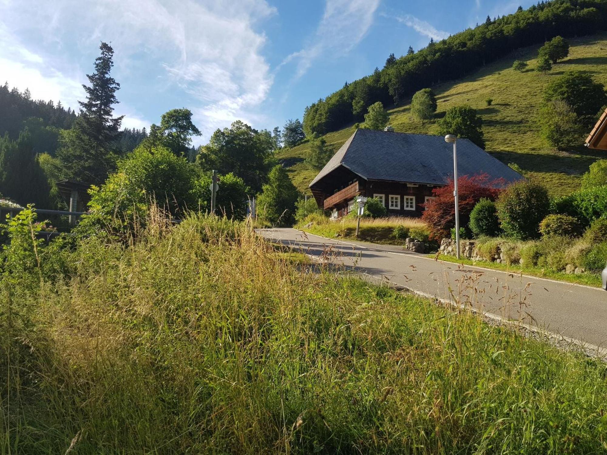 Apartment In Brandenberg With Terrace Todtnau Dış mekan fotoğraf